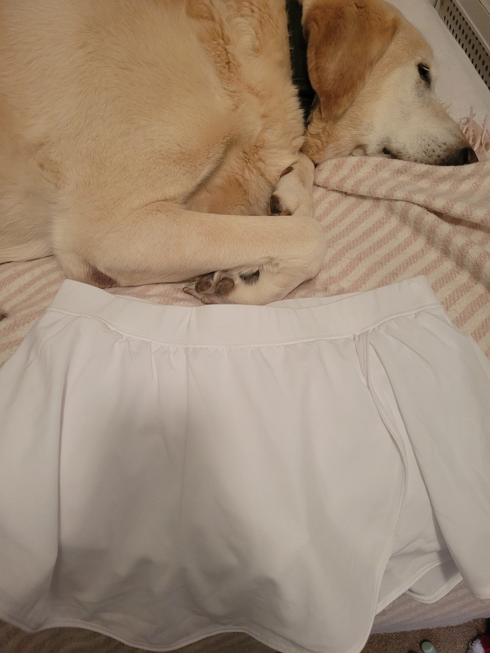Gilly Hicks White Skirt